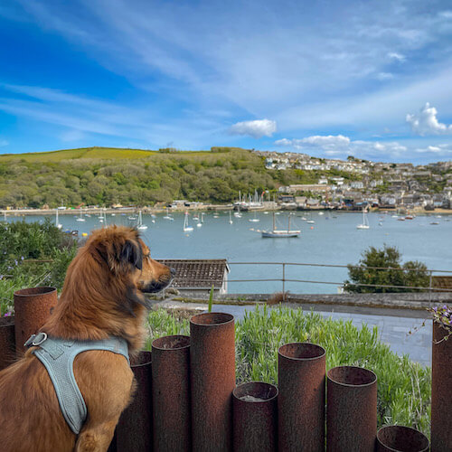 Bramley monitoring the situation in Fowey harbour.